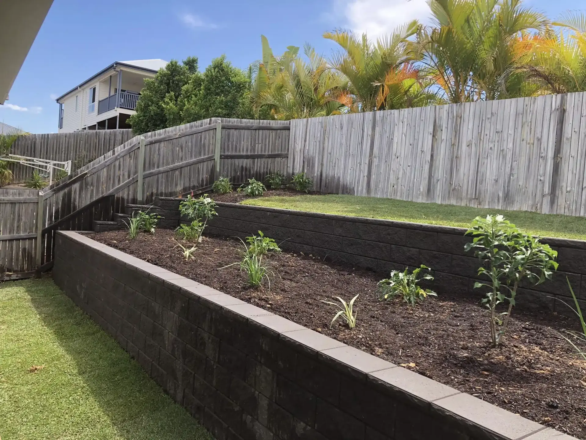 Terraced charcoal block retaining walls with new plantings in a sloping backyard