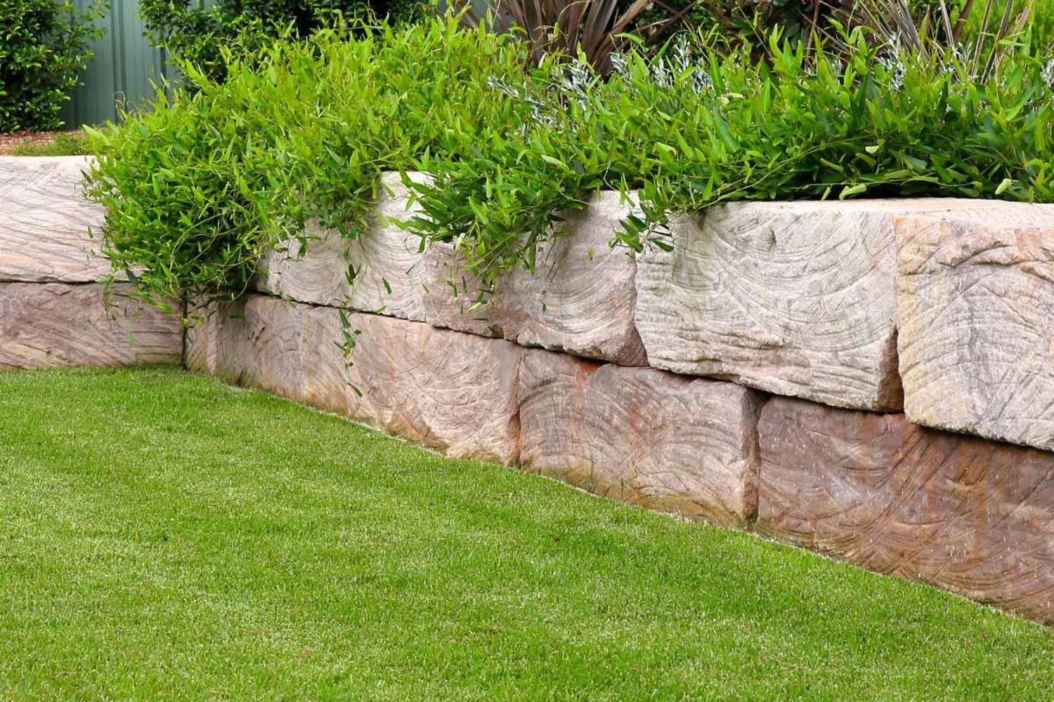 Pink-toned sandstone boulder retaining wall with plants spilling over the top