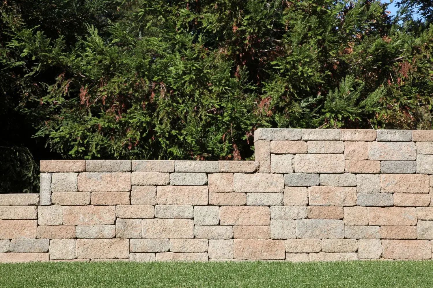 Stepped sandstone block retaining wall in front of a hedge